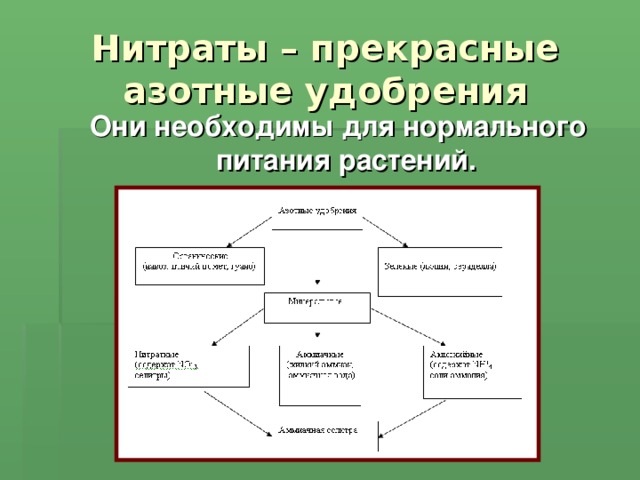 Нитраты – прекрасные азотные удобрения Они необходимы для нормального питания растений.  
