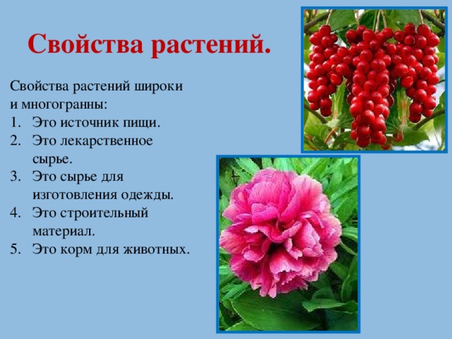 Свойства растений. Свойства растений широки и многогранны:
