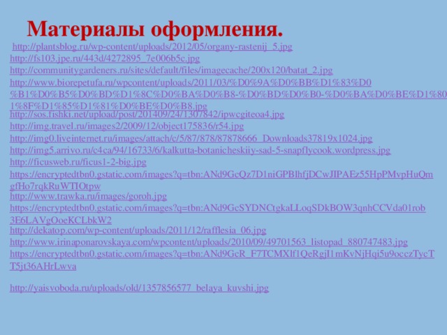 Материалы оформления.  http://plantsblog.ru/wp-content/uploads/2012/05/organy-rastenij_5.jpg  http://fs103.jpe.ru/443d/4272895_7e006b5c.jpg  http://communitygardeners.ru/sites/default/files/imagecache/200x120/batat_2.jpg http://www.biorepetufa.ru/wpcontent/uploads/2011/03/%D0%9A%D0%BB%D1%83%D0%B1%D0%B5%D0%BD%D1%8C%D0%BA%D0%B8-%D0%BD%D0%B0-%D0%BA%D0%BE%D1%80%D0%BD%D1%8F%D1%85%D1%81%D0%BE%D0%B8.jpg http://sos.fishki.net/upload/post/201409/24/1307842/ipwcgiteoa4.jpg http://img.travel.ru/images2/2009/12/object175836/r54.jpg http://img0.liveinternet.ru/images/attach/c/5/87/878/87878666_Downloads37819x1024.jpg http://img5.arrivo.ru/c4ca/94/16733/6/kalkutta-botanicheskiiy-sad-5-snapflycook.wordpress.jpg http://ficusweb.ru/ficus1-2-big.jpg https://encryptedtbn0.gstatic.com/images?q=tbn:ANd9GcQz7D1niGPBlhfjDCwJIPAEz55HpPMvpHuQmgfHo7rqkRuWTIOtpw http://www.trawka.ru/images/goroh.jpg https://encryptedtbn0.gstatic.com/images?q=tbn:ANd9GcSYDNCtgkaLLoqSDkBOW3qnhCCVda01rob3E6LAVgOoeKCLbkW2 http://dekatop.com/wp-content/uploads/2011/12/rafflesia_06.jpg http://www.irinaponarovskaya.com/wpcontent/uploads/2010/09/49701563_listopad_880747483.jpg  https://encryptedtbn0.gstatic.com/images?q=tbn:ANd9GcR_F7TCMXlf1QeRgjI1mKvNjHqi5u9occzTycTT5jt36AHrLwva  http://yaisvoboda.ru/uploads/old/1357856577_belaya_kuvshi.jpg