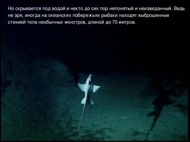 Но скрывается под водой и некто до сих пор непонятый и неизведанный. Ведь не зря, иногда на океанских побережьях рыбаки находят выброшенные стихией тела необычных монстров, длиной до 70 метров. 