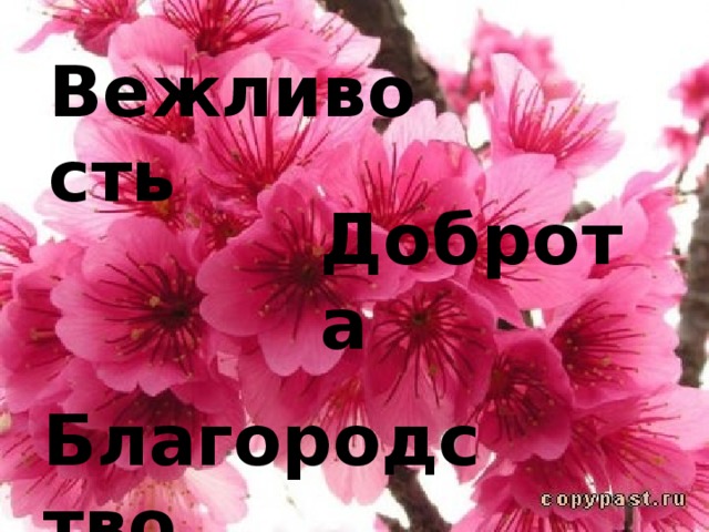 Вежливость Доброта Благородство 