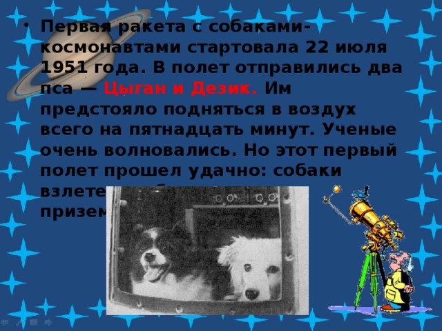 Первая ракета с собаками-космонавтами стартовала 22 июля 1951 года. В полет отправились два  пса — Цыган и Дезик. Им предстояло подняться в воздух всего на пятнадцать минут. Ученые очень волновались. Но этот первый полет прошел удачно: собаки взлетели и благополучно приземлились. 