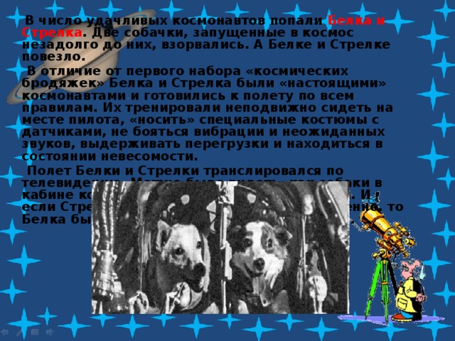  В число удачливых космонавтов попали Белка и Стрелка . Две собачки, запущенные в космос незадолго до них, взорвались. А Белке и Стрелке повезло.  В отличие от первого набора «космических бродяжек» Белка и Стрелка были «настоящими» космонавтами и готовились к полету по всем правилам. Их тренировали неподвижно сидеть на месте пилота, «носить» специальные костюмы с датчиками, не бояться вибрации и неожиданных звуков, выдерживать перегрузки и находиться в состоянии невесомости.  Полет Белки и Стрелки транслировался по телевидению. Можно было видеть, как собаки в кабине корабля кувыркаются в невесомости. И если Стрелка относилась к этому настороженно, то Белка была просто в восторге и даже лаяла. 