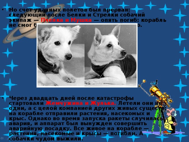 Но счет удачных полетов был прерван: следующий после Белки и Стрелки собачий экипаж — Пчелка и Мушка — опять погиб: корабль не смог благополучно вернуться на Землю. Через двадцать дней после катастрофы стартовали Жемчужина и Жулька. Летели они не одни, а с целой компанией других живых существ: на корабле отправили растения, насекомых и крыс. Однако во время запуска ракеты случилась авария, и аппарат был вынужден совершить аварийную посадку. Все живое на корабле — растения, насекомые и крысы — погибли. А собачки чудом выжили. 