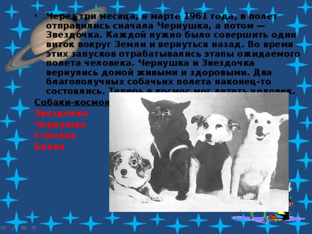 Через три месяца, в марте 1961 года, в полет отправились сначала Чернушка, а потом — Звездочка. Каждой нужно было совершить один виток вокруг Земли и вернуться назад. Во время этих запусков отрабатывались этапы ожидаемого полета человека. Чернушка и Звездочка вернулись домой живыми и здоровыми. Два благополучных собачьих полета наконец-то состоялись. Теперь в космос мог лететь человек. Собаки-космонавты: Звездочка Чернушка Стрелка Белка 