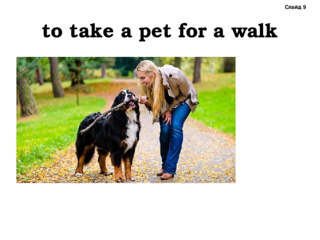 Слайд 9 to take a pet for a walk 