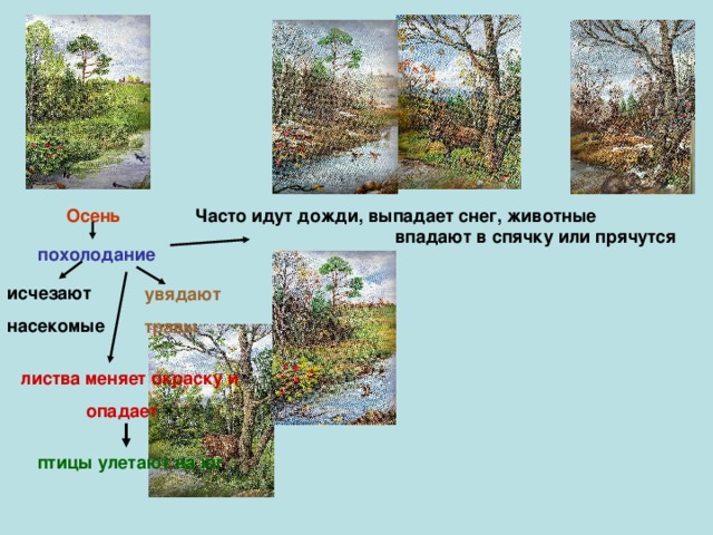 Осень Часто идут дожди, выпадает снег, животные впадают в спячку или прячутся похолодание исчезают насекомые  увядают травы листва меняет окраску и  опадает птицы улетают на юг 