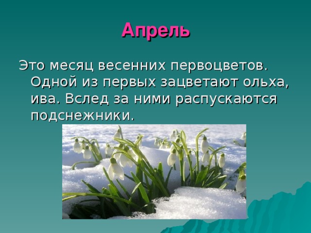 1 класс окружающий мир презентация май весну завершает лето начинает