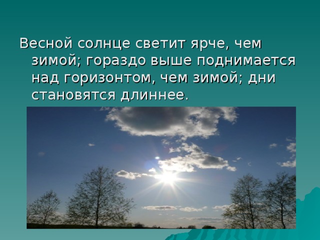 Высоко поднявшееся солнце начало припекать