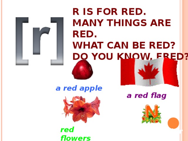 R IS FOR RED.  MANY THINGS ARE RED.  WHAT CAN BE RED?  DO YOU KNOW, FRED? a red apple a red flag red flowers a red letter 
