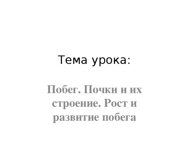 Тема урока: Побег. Почки и их строение. Рост и развитие побега 