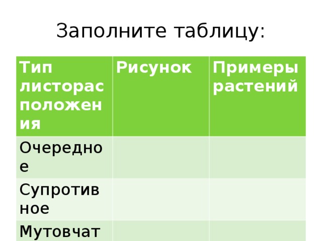 Заполните таблицу: Тип листорасположения Рисунок Очередное Примеры растений Супротивное Мутовчатое 