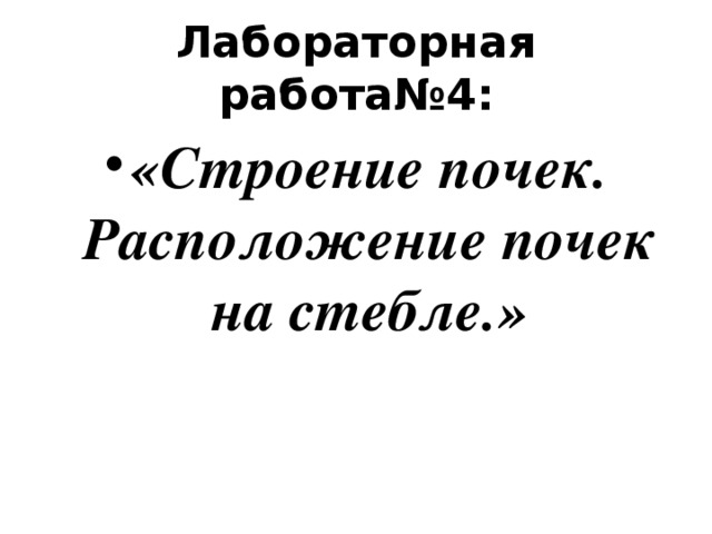Лабораторная работа№4: «Строение почек. Расположение почек на стебле.» 