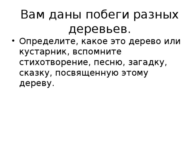 Вам даны побеги разных деревьев. Определите, какое это дерево или кустарник, вспомните стихотворение, песню, загадку, сказку, посвященную этому дереву. 