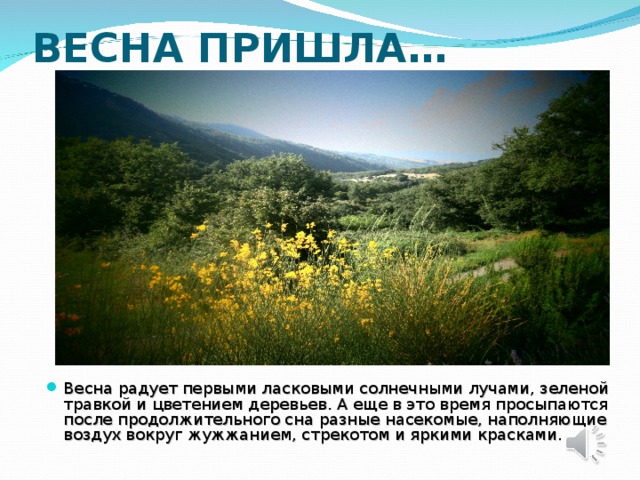 ВЕСНА ПРИШЛА… Весна радует первыми ласковыми солнечными лучами, зеленой травкой и цветением деревьев. А еще в это время просыпаются после продолжительного сна разные насекомые, наполняющие воздух вокруг жужжанием, стрекотом и яркими красками. 