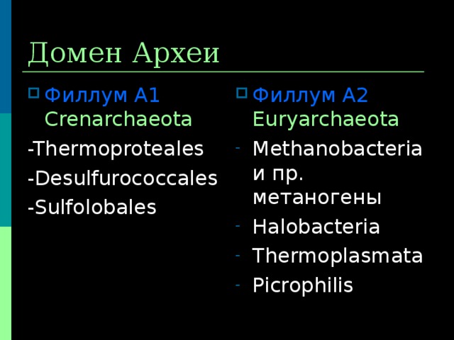 Домен Археи Филлум А2  Euryarchaeota Methanobacteria и пр. метаногены Halobacteria Thermoplasmata Picrophilis Филлум А1  Crenarchaeota -Thermoproteales -Desulfurococcales -Sulfolobales 