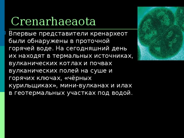 Crenarhaeaota Впервые представители кренархеот были обнаружены в проточной горячей воде. На сегодняшний день их находят в термальных источниках, вулканических котлах и почвах вулканических полей на суше и горячих ключах, «чёрных курильщиках», мини-вулканах и илах в геотермальных участках под водой. 