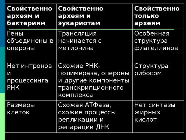 Свойственно археям и бактериям Свойственно археям и эукариотам Гены объединены в опероны Трансляция начинается с метионина Нет интронов и процессинга РНК Свойственно только археям Схожие РНК-полимераза, опероны и другие компоненты транскрипционного комплекса Размеры клеток Особенная структура флагеллинов Схожая АТФаза, схожие процессы репликации и репарации ДНК Структура рибосом Нет синтазы жирных кислот 