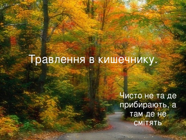 Травлення в кишечнику. Чисто не та де прибирають, а там де не смітять