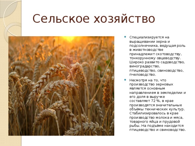 Сельское хозяйство Специализируется на выращивании зерна и подсолнечника, ведущая роль в животноводстве принадлежит скотоводству, тонкорунному овцеводству. Широко развито садоводство, виноградарство, птицеводство, свиноводство, пчеловодство. Несмотря на то, что производство зерновых является основным направлением в земледелии и его доля в выручке составляет 72 %, в крае производятся значительные объёмы технических культур. Стабилизировалось в крае производство молока и мяса, товарного яйца и прудовой рыбы. На подъёме находится птицеводство и свиноводство. 