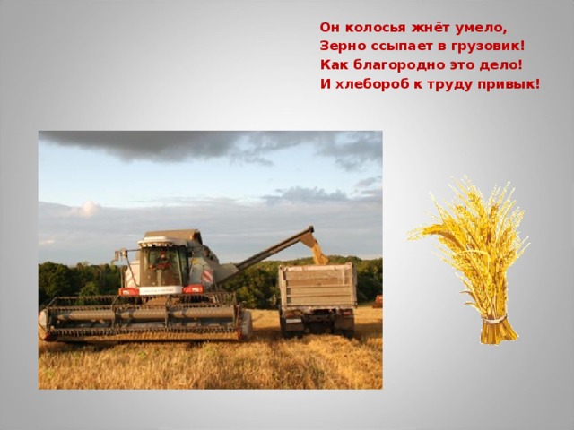 Он колосья жнёт умело, Зерно ссыпает в грузовик! Как благородно это дело! И хлебороб к труду привык!   