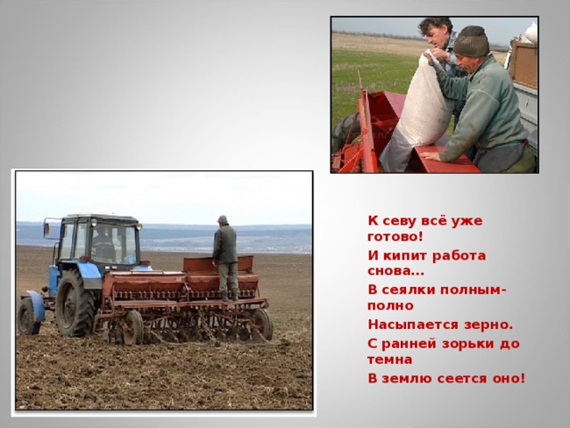 К севу всё уже готово! И кипит работа снова… В сеялки полным-полно Насыпается зерно. С ранней зорьки до темна В землю сеется оно!  