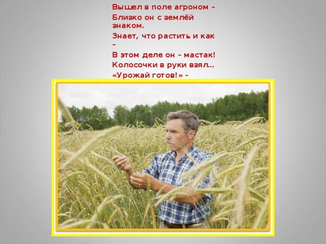 Вышел в поле агроном – Близко он с землёй знаком. Знает, что растить и как – В этом деле он – мастак! Колосочки в руки взял… «Урожай готов!» - сказал.   