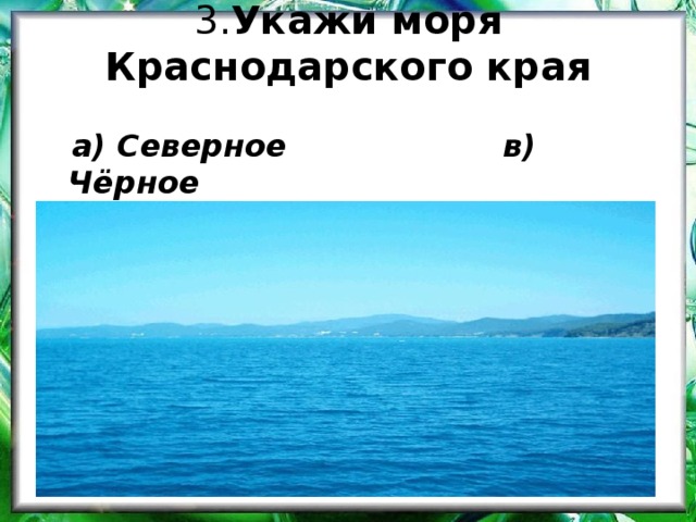  3. Укажи моря Краснодарского края     а) Северное в) Чёрное  б) Азовское г) Японское  