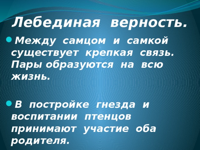 Лебединая верность. Между самцом и самкой существует крепкая связь. Пары образуются на всю жизнь.  В постройке гнезда и воспитании птенцов принимают участие оба родителя. 