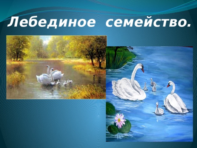 Лебединое семейство. 