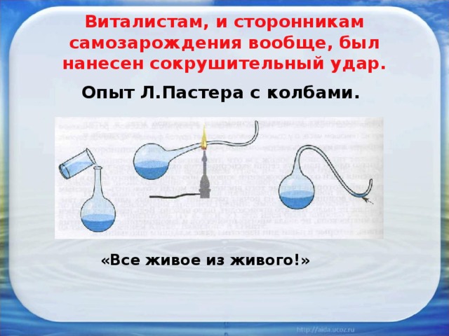 Виталистам, и сторонникам самозарождения вообще, был нанесен сокрушительный удар.  Опыт Л.Пастера с колбами.  «Все живое из живого!» 