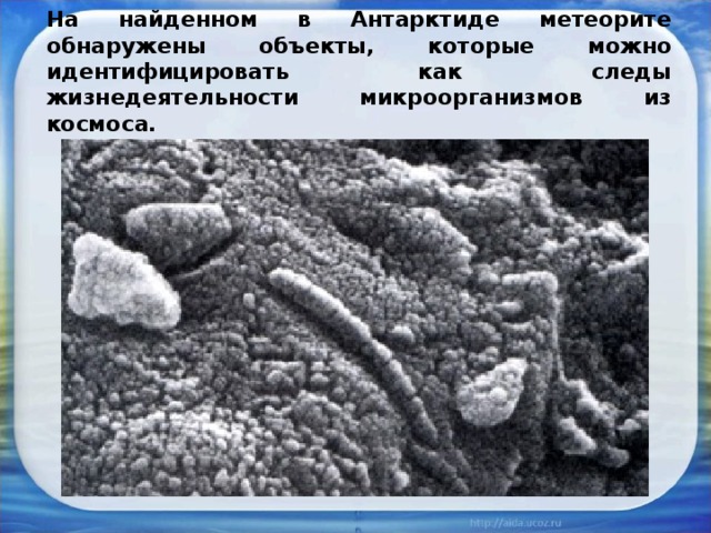 На найденном в Антарктиде метеорите обнаружены объекты, которые можно идентифицировать как следы жизнедеятельности микроорганизмов из космоса.   