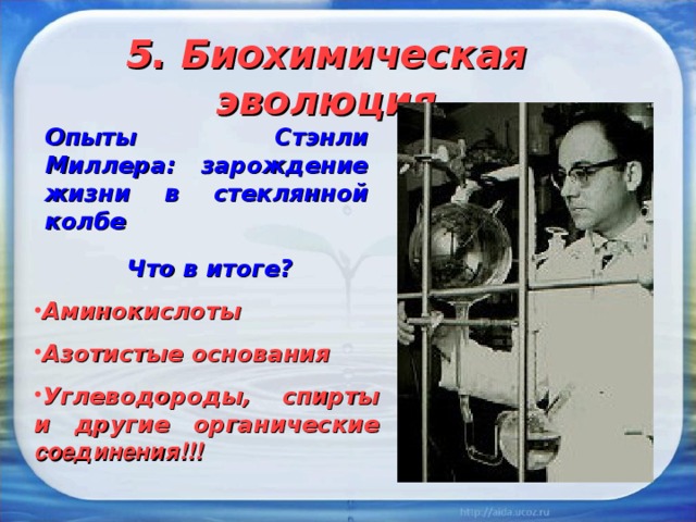 5. Биохимическая эволюция Опыты Стэнли Миллера: зарождение жизни в стеклянной колбе  Что в итоге? Аминокислоты Азотистые основания Углеводороды, спирты и другие органические соединения!!! 