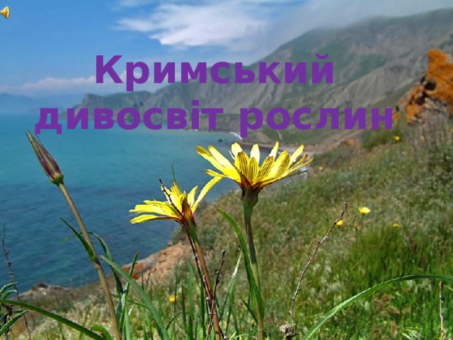 Кримський дивосвіт рослин 