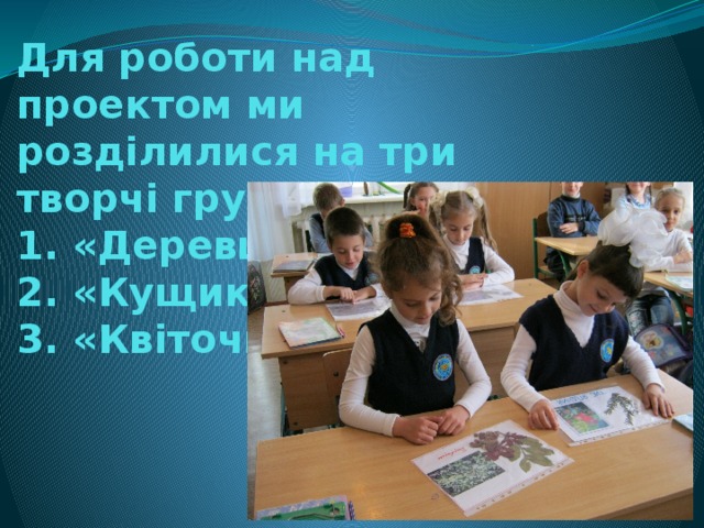 Для роботи над проектом ми розділилися на три творчі групи:  1. «Деревце»  2. «Кущик»  3. «Квіточка» 