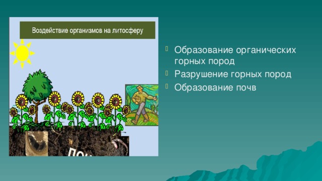 Образование органических горных пород Разрушение горных пород Образование почв 