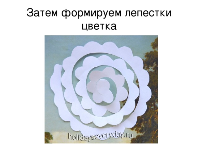Затем формируем лепестки цветка 