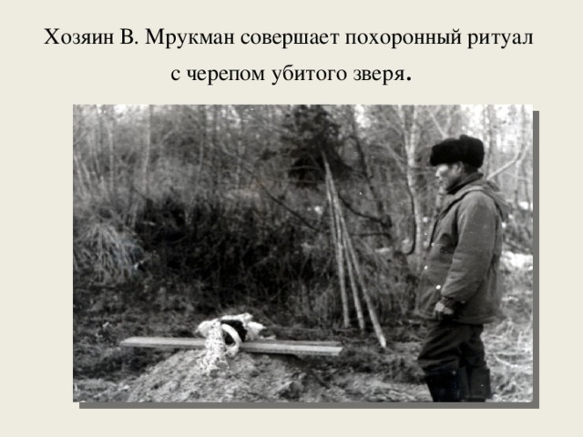 Хозяин В. Мрукман совершает похоронный ритуал  с черепом убитого зверя . 