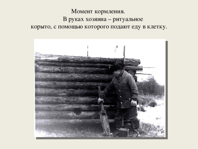 Момент кормления.  В руках хозяина – ритуальное  корыто, с помощью которого подают еду в клетку. 