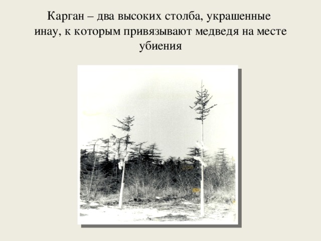 Карган – два высоких столба, украшенные  инау, к которым привязывают медведя на месте убиения 