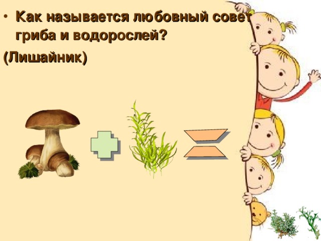 Как называется любовный совет гриба и водорослей? (Лишайник) 