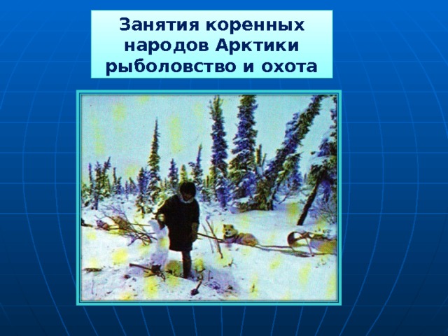 Занятия коренных народов Арктики рыболовство и охота 
