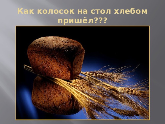 Как колосок на стол хлебом пришёл??? 