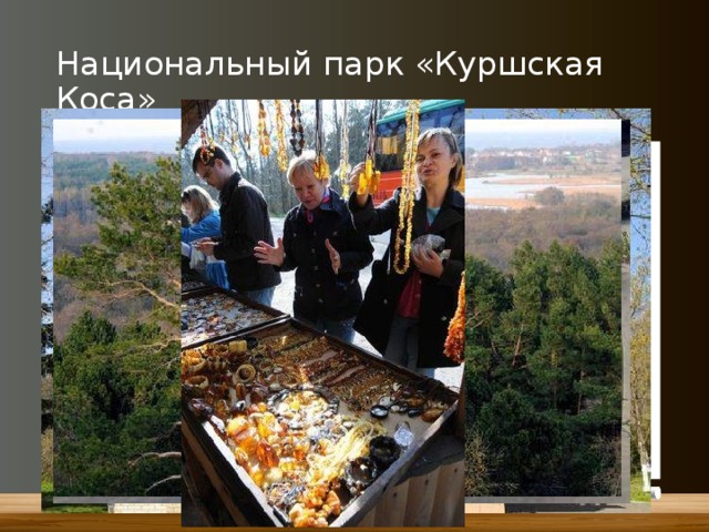 в каком городе северо западного района выпускают турбины и генераторы. img11. в каком городе северо западного района выпускают турбины и генераторы фото. в каком городе северо западного района выпускают турбины и генераторы-img11. картинка в каком городе северо западного района выпускают турбины и генераторы. картинка img11. Тест по географии Северо-Западная Россия для 9 класса с ответами. Тест включает 2 варианта. В каждом варианте 2 части. Часть А — 7 заданий, часть В — 1 задание.