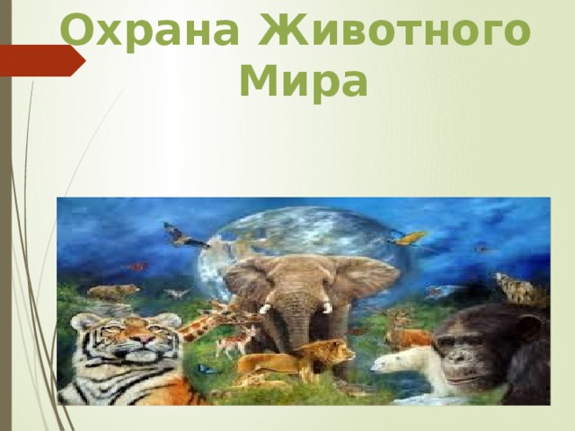 Охранa Животного  Мира  