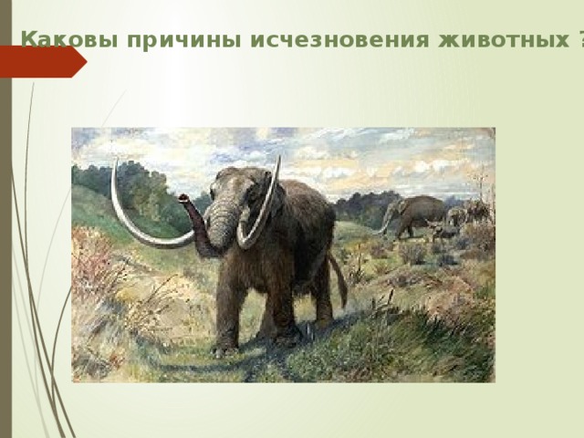Каковы причины исчезновения животных ? 