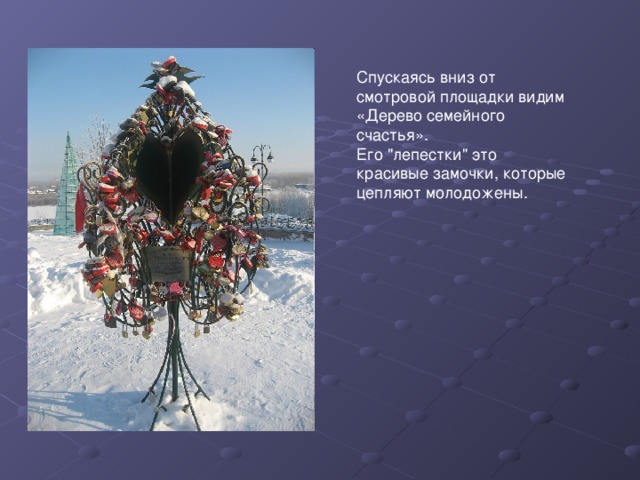 Спускаясь вниз от смотровой площадки видим «Дерево семейного счастья». Его 