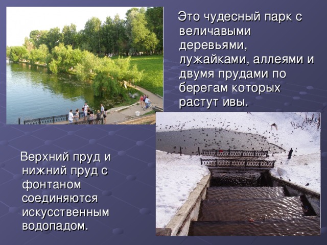  Это чудесный парк с величавыми деревьями, лужайками, аллеями и двумя прудами по берегам которых растут ивы.  Верхний пруд и нижний пруд с фонтаном соединяются искусственным водопадом. 