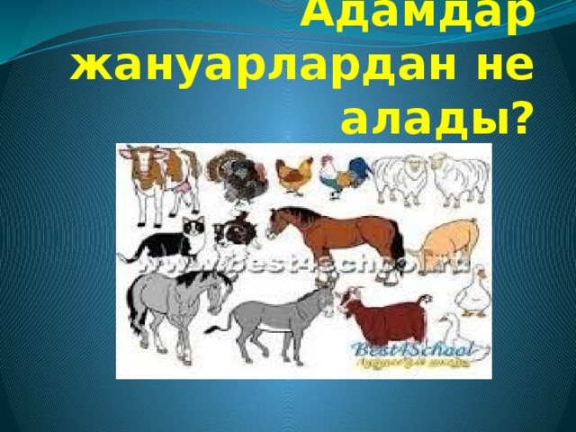 Адамдар жануарлардан не алады? 