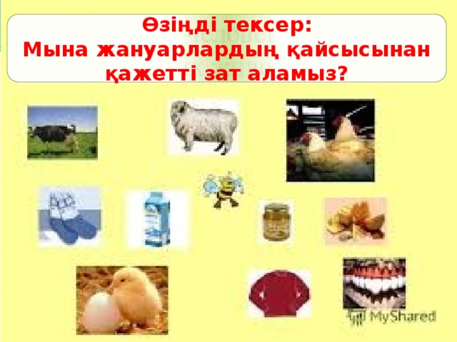 Өзіңді тексер: Мына жануарлардың қайсысынан қажетті зат аламыз? 